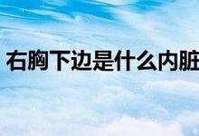 右胸下邊是什么內臟（右胸下邊是什么器官）
