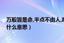 萬般皆是命,半點不由人,唯有自渡（萬般皆是命唯有人自渡什么意思）