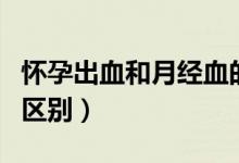 懷孕出血和月經血的區(qū)分（懷孕出血和月經的區(qū)別）