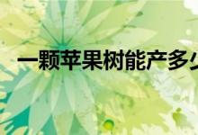 一顆蘋(píng)果樹(shù)能產(chǎn)多少果（一顆蘋(píng)果多少克）