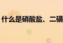 什么是硝酸鹽、二磺酸鹽和三磺酸鹽的木炭？