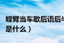 螳臂當(dāng)車(chē)歇后語(yǔ)后半部分（螳臂當(dāng)車(chē)的歇后語(yǔ)是什么）