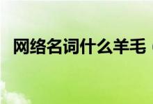 網(wǎng)絡(luò)名詞什么羊毛（網(wǎng)絡(luò)名詞什么叫沙雕）