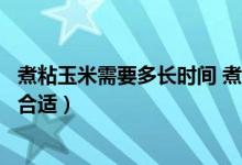 煮粘玉米需要多長時(shí)間 煮多久最好吃（問粘玉米煮多長時(shí)間合適）