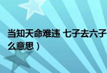 當知天命難違 七子去六子回是什么意思（七子去六子回是什么意思）