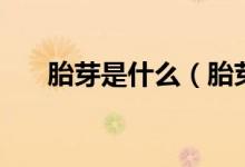 胎芽是什么（胎芽是什么時(shí)候形成的）