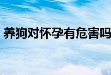 養(yǎng)狗對懷孕有危害嗎（養(yǎng)狗對懷孕有影響嗎）