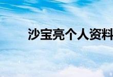 沙寶亮個(gè)人資料（關(guān)于沙寶亮簡(jiǎn)介）
