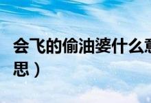 會飛的偷油婆什么意思（會飛的偷油婆什么意思）