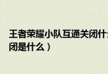 王者榮耀小隊互通關(guān)閉什么時候開啟（王者榮耀小隊互通關(guān)閉是什么）