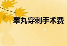 睪丸穿刺手術費（睪丸穿刺多少費用）