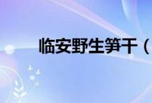 臨安野生筍干（la醫(yī)師是個(gè)什么證）