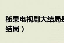 秘果電視劇大結局是什么意思（秘果電視劇大結局）