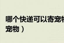 哪個快遞可以寄寵物當天到（哪個快遞可以寄寵物）
