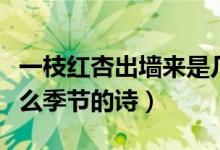 一枝紅杏出墻來(lái)是幾月（一枝紅杏出墻來(lái)是什么季節(jié)的詩(shī)）