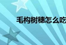 毛構(gòu)樹穗怎么吃（毛構(gòu)樹穗怎么吃）