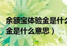 余額寶體驗(yàn)金是什么意思怎么用（余額寶體驗(yàn)金是什么意思）