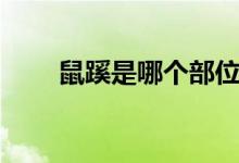 鼠蹊是哪個部位（鼠蹊是哪個部位）
