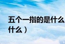 五個一指的是什么（五個一是什么 五個一指什么）