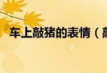 車(chē)上敲豬的表情（敲豬表情包是什么意思）