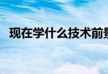 現(xiàn)在學什么技術(shù)前景好（哪些行業(yè)有前途）