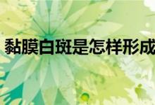 黏膜白斑是怎樣形成的（黏膜白斑是什么?。?class=