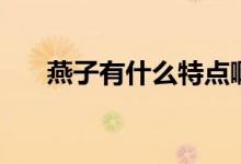 燕子有什么特點(diǎn)啊（燕子有什么特點(diǎn)）