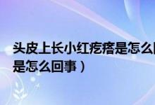頭皮上長(zhǎng)小紅疙瘩是怎么回事用什么藥（頭皮上長(zhǎng)小紅疙瘩是怎么回事）