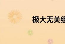 極大無(wú)關(guān)組的定義是什么