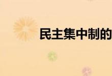 民主集中制的基本原則是什么？