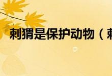 刺猬是保護(hù)動物（刺猬是保護(hù)動物嗎幾級）