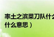 率土之濱菜刀隊(duì)什么英雄好（率土之濱菜刀隊(duì)什么意思）