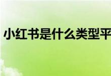 小紅書是什么類型平臺(tái)（小紅書是什么東西）