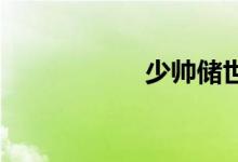 少帥儲世新哪集死的
