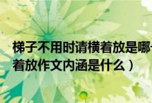 梯子不用時(shí)請(qǐng)橫著放是哪一年的高考作文（梯子不用時(shí)請(qǐng)橫著放作文內(nèi)涵是什么）