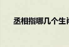 丞相指哪幾個(gè)生肖（丞相指哪個(gè)生肖）