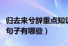 歸去來(lái)兮辭重點(diǎn)知識(shí)（歸去來(lái)兮辭當(dāng)中的重點(diǎn)句子有哪些）