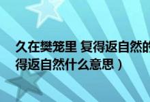 久在樊籠里 復得返自然的樊籠是什么意思（久在樊籠里 復得返自然什么意思）
