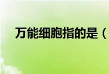 萬(wàn)能細(xì)胞指的是（萬(wàn)能細(xì)胞指的是什么）