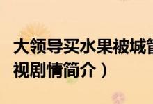 大領(lǐng)導買水果被城管打是什么電視?。绎L電視劇情簡介）