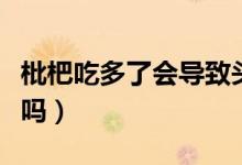 枇杷吃多了會導(dǎo)致頭暈嗎（枇杷吃多了會上火嗎）