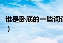誰(shuí)是臥底的一些詞語(yǔ)（誰(shuí)是臥底的詞語(yǔ)有哪些）