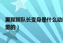 黑猩猩隊(duì)長(zhǎng)變身是什么動(dòng)畫(huà)片（黑猩猩隊(duì)長(zhǎng)變身是超能勇士里的）