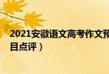 2021安徽語(yǔ)文高考作文預(yù)測(cè)（2022年安徽高考語(yǔ)文作文題目點(diǎn)評(píng)）