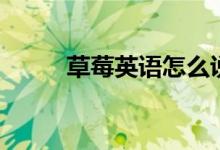 草莓英語怎么說（草莓英文簡介）