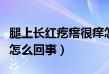 腿上長(zhǎng)紅疙瘩很癢怎么治（腿上長(zhǎng)紅疙瘩很癢怎么回事）