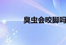 臭蟲會咬腳嗎（臭蟲會咬人嗎）