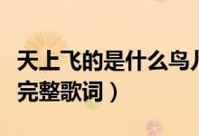天上飛的是什么鳥(niǎo)兒還是云朵歌名（天籟之愛(ài)完整歌詞）