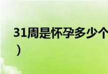 31周是懷孕多少個月啊（31周是懷孕幾個月）
