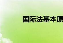 國際法基本原則（有什么作用）
